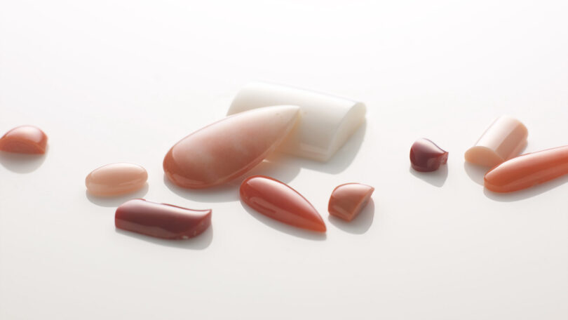 サンゴイメージ1